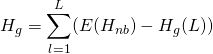 \begin{equation*} H_g = \sum_{l = 1}^{L}(E(H_{nb}) - H_{g}(L)) \end{equation*}