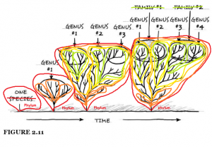 Figure_2.11_Meyer_EL